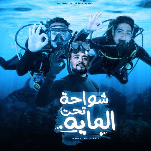 كلمات اغنية فارس زيزو – شواحة تحت المايه (feat. شواحه) مكتوبة