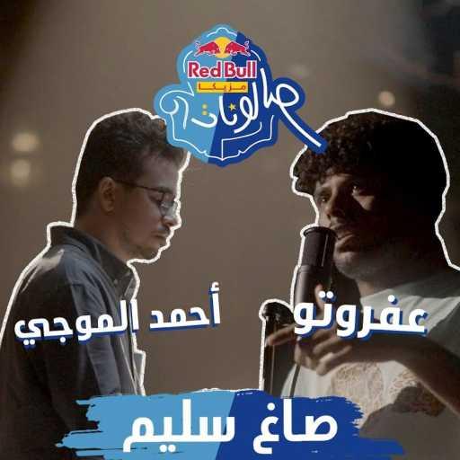 كلمات اغنية ريد بُل سيكا – صاغ سليم (مع عفروتو & أحمد الموجي) مكتوبة