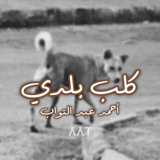 كلمات اغنية احمد عبد التواب – كلب بلدي مكتوبة