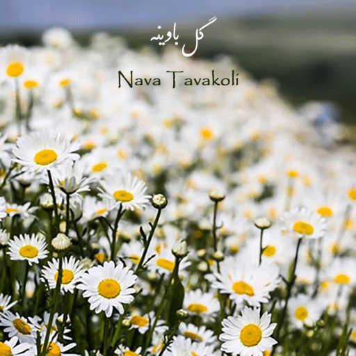 كلمات اغنية Nava Tavakoli – گل باوینه مكتوبة