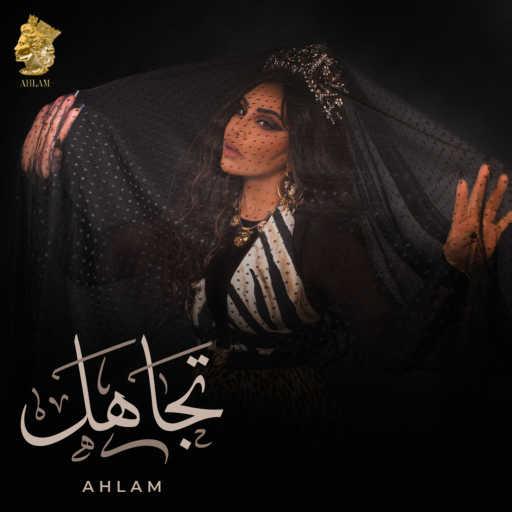 كلمات اغنية أحلام – تجاهل مكتوبة