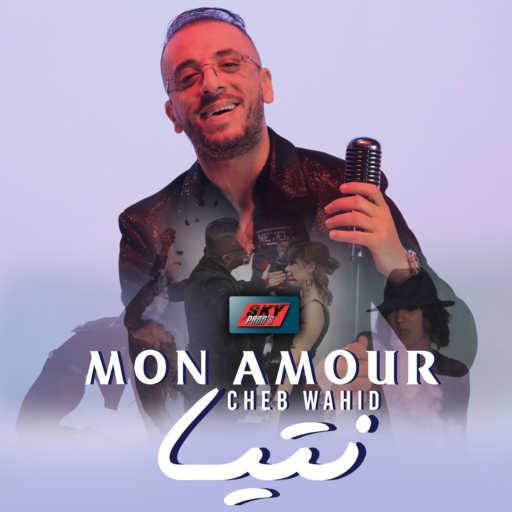 كلمات اغنية شاب وحيد – Mon amour ntiya مكتوبة