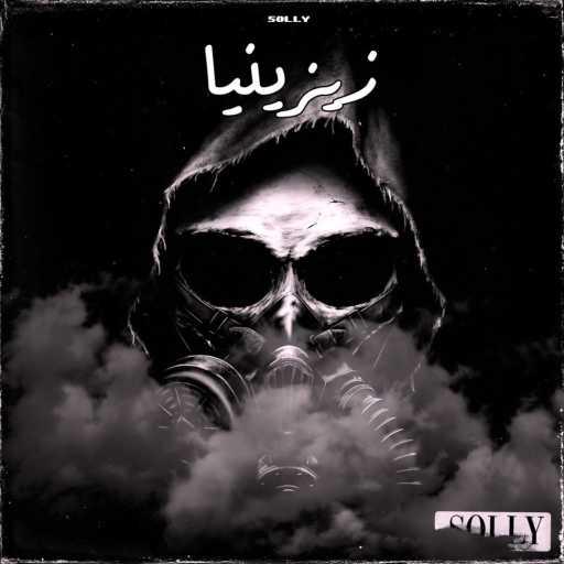 كلمات اغنية سولي – زيزينيا مكتوبة