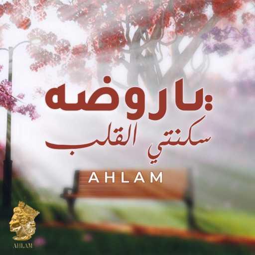 كلمات اغنية أحلام – يا روضة  سكنتي القلب مكتوبة