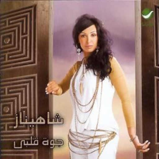 كلمات اغنية شاهيناز – النجم والليل مكتوبة