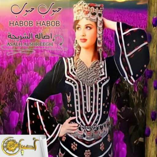 كلمات اغنية اصاله الشريجه – حبوب حبوب لاتغضب مكتوبة