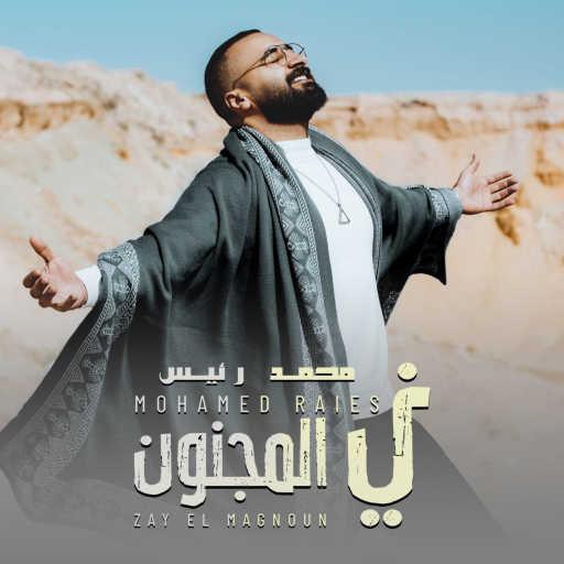 كلمات اغنية محمد رئيس – زي المجنون مكتوبة