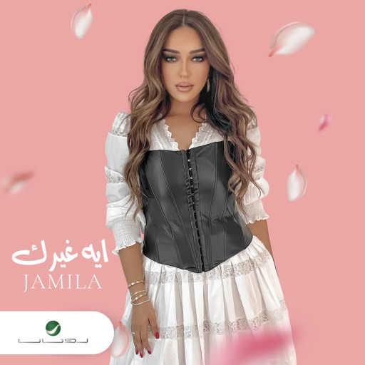 كلمات اغنية جميلة – ايه غيرك مكتوبة