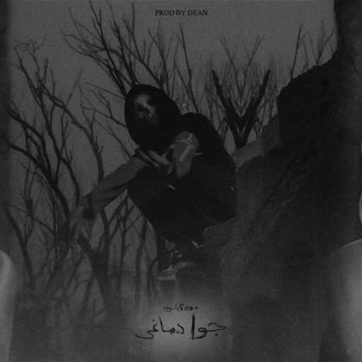 كلمات اغنية دون تايسون  – جوا دماغى مكتوبة