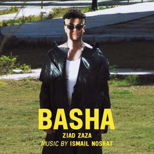 كلمات اغنية زياد ظاظا – باشا مكتوبة