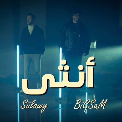 كلمات اغنية بيغ سام – أنثى (feat. siilawy) مكتوبة