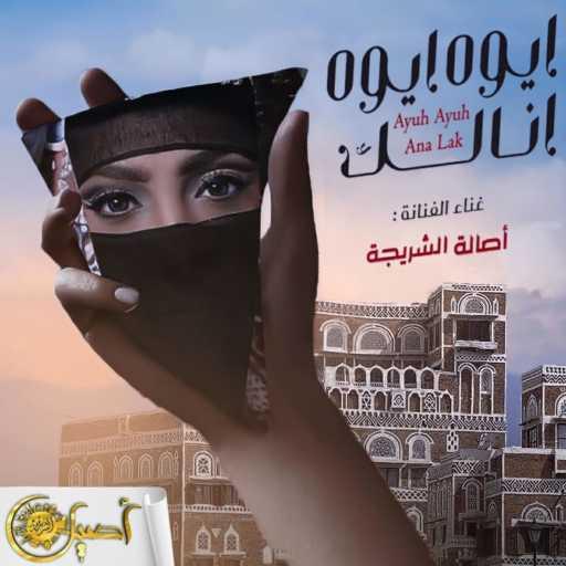 كلمات اغنية اصاله الشريجه – ايوه ايوه انالك مكتوبة