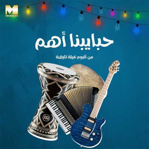 كلمات اغنية مجموعة فنانين – حبايبنا أهم مكتوبة