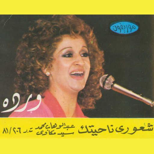 كلمات اغنية وردة الجزائرية – شعورى ناحيتك 1 حفلة مكتوبة