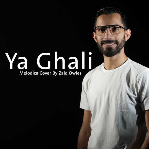 كلمات اغنية زيد عويس – يا غالي – فرقة جيتارا “موسيقى على آلة الميلوديكا” مكتوبة