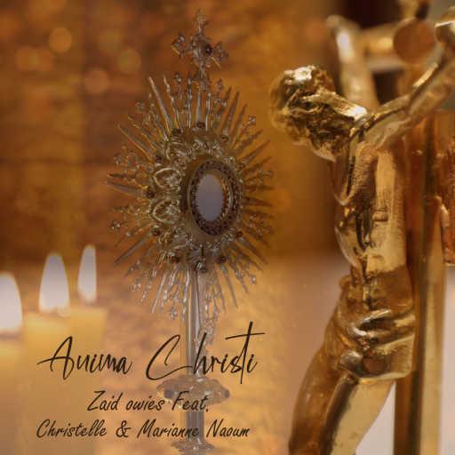 كلمات اغنية زيد عويس – Anima Christi (feat. Christelle & Marianne Naoum) مكتوبة