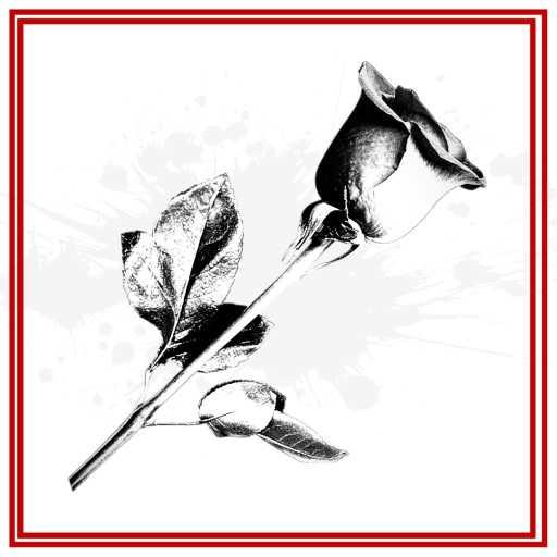 كلمات اغنية المتمرد – كانت حلوة مكتوبة