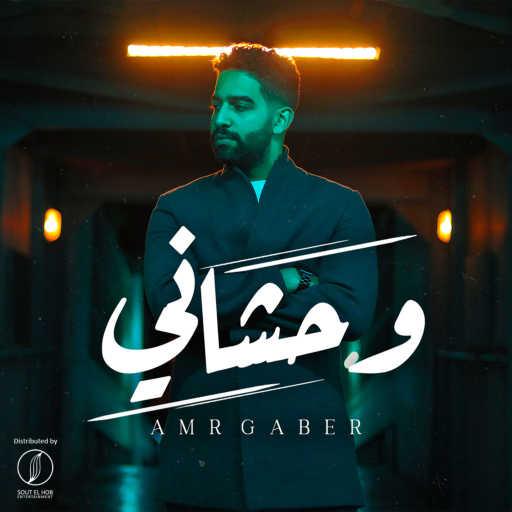 كلمات اغنية عمرو جابر – وحشاني مكتوبة