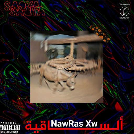 كلمات اغنية نورس – الساقية مكتوبة