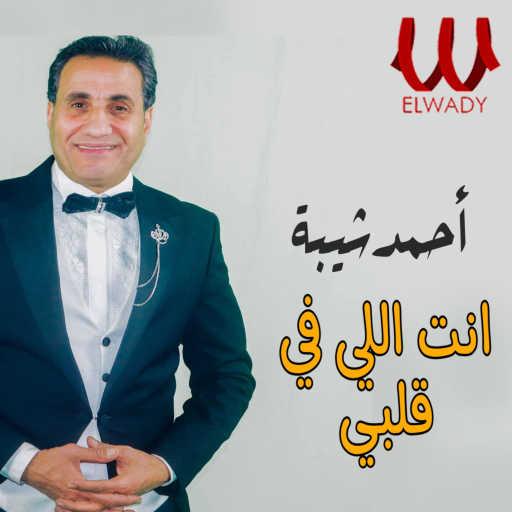 كلمات اغنية أحمد شيبة – انت اللي في قلبي مكتوبة