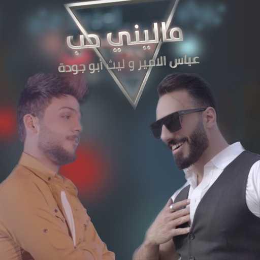 كلمات اغنية عباس الامير – ماليني حب مكتوبة