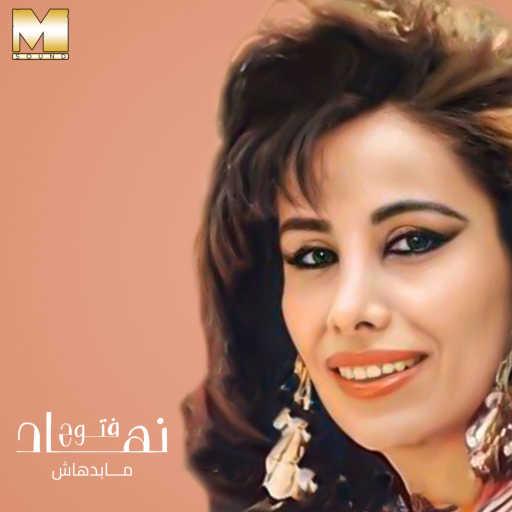 كلمات اغنية نهاد فتوح – ابتدت بينا المحبة مكتوبة