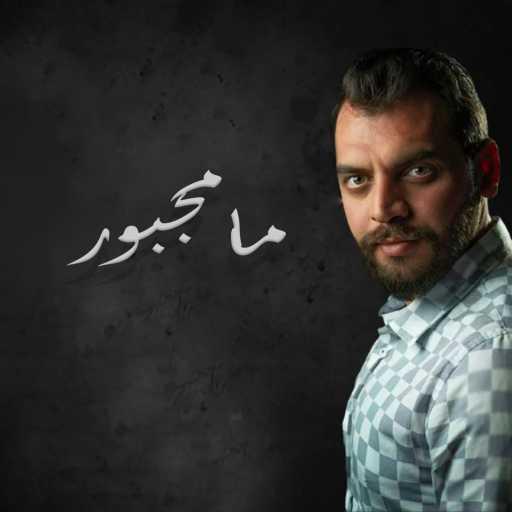 كلمات اغنية محمد ربيع – مامجبور مكتوبة