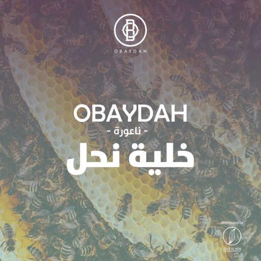 كلمات اغنية عبيدة – خليّة نَحل مكتوبة