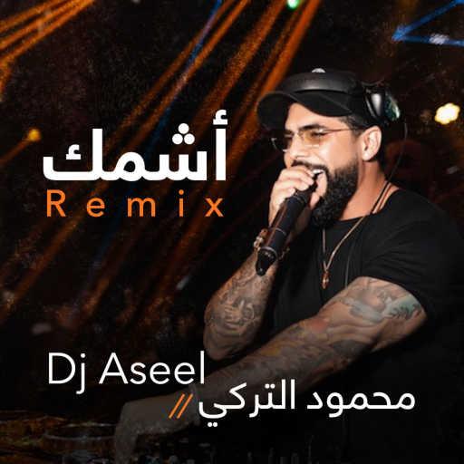 كلمات اغنية دج اصيل – اشمك (ريمكس) مكتوبة