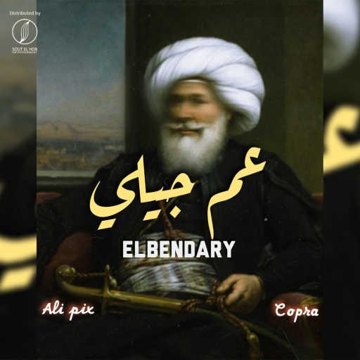 كلمات اغنية البنداري – عم جيلي مكتوبة