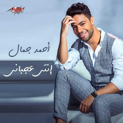 كلمات اغنية احمد جمال – انتى عجبانى مكتوبة