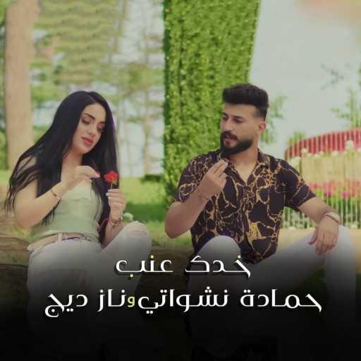 كلمات اغنية حمادة نشواتي – خدك عنب مع ناز ديج مكتوبة