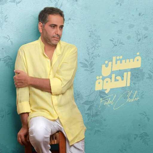 كلمات اغنية فضل شاكر – فستان الحلوة مكتوبة