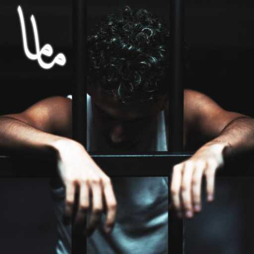 كلمات اغنية دايلر – ماما مكتوبة