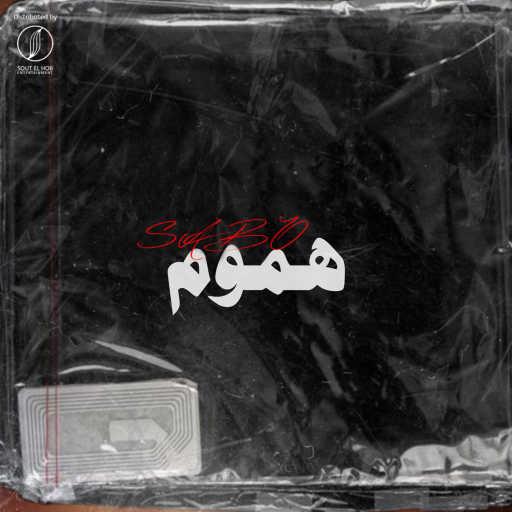 كلمات اغنية صابو – هموم مكتوبة