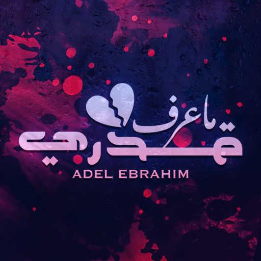كلمات اغنية عادل ابراهيم – ما عرف قدري مكتوبة