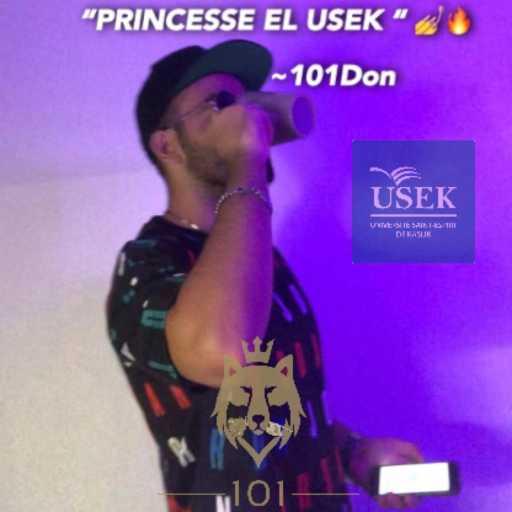 كلمات اغنية 101DON – Princesse el USEK (Jagal el usek Remixx) مكتوبة