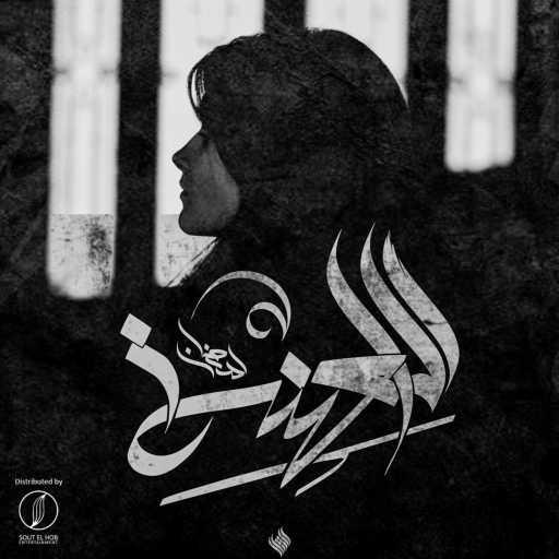 كلمات اغنية محمود رمضان – اللعنه مكتوبة