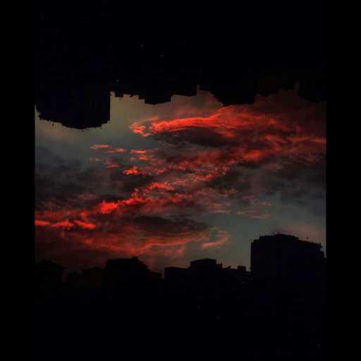 كلمات اغنية جوجز – رحله مكتوبة