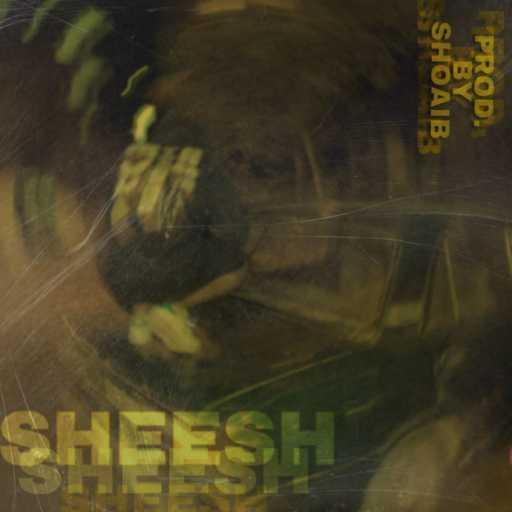 كلمات اغنية دا فينجي – شييش مكتوبة