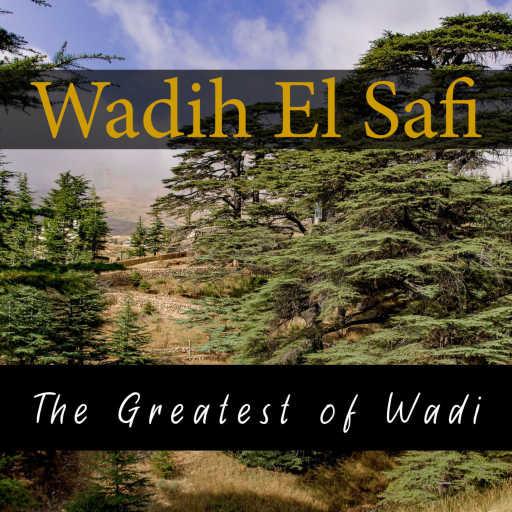 كلمات اغنية وديع الصافي – Habibi Wnour Eini مكتوبة