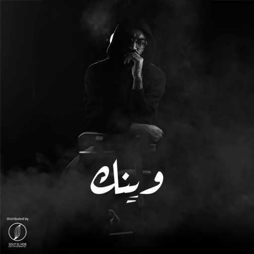 كلمات اغنية مسعد أوزيل – وينك مكتوبة