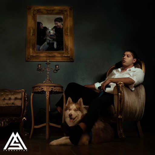 كلمات اغنية محمد سعيد  – محتاج لوجودك مكتوبة