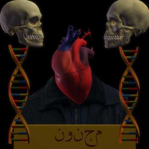 كلمات اغنية زوسر – مجنون مكتوبة