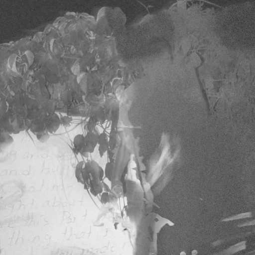 كلمات اغنية Oxide Muzik – Meshyet مكتوبة