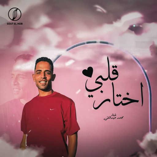 كلمات اغنية Mohamed Abdelghany – قلبى إختار مكتوبة