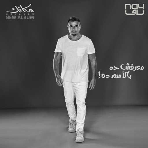 كلمات اغنية عمرو دياب – معرفش حد بالإسم ده مكتوبة