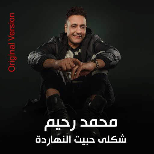 كلمات اغنية محمد رحيم – شكلي حبيت النهاردة مكتوبة