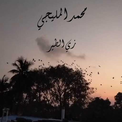 كلمات اغنية محمد المليجي – زي الطير مكتوبة