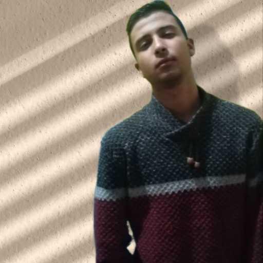 كلمات اغنية انس حبشي – بحبك و خايف مكتوبة